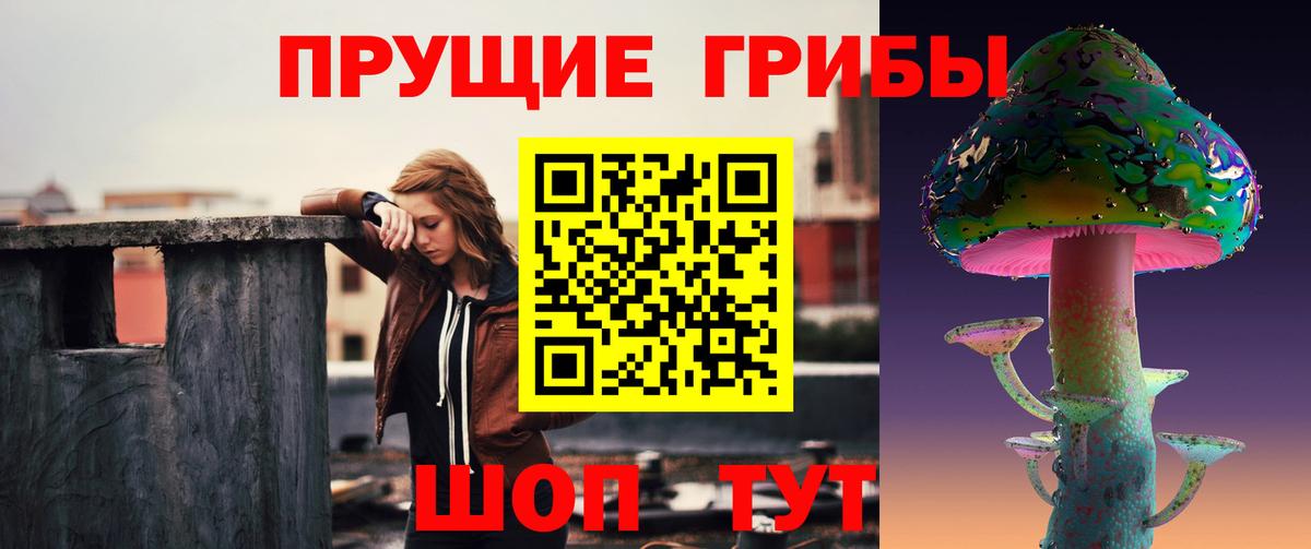 Псилоцибиновые грибы ЛСД Вышний Волочёк